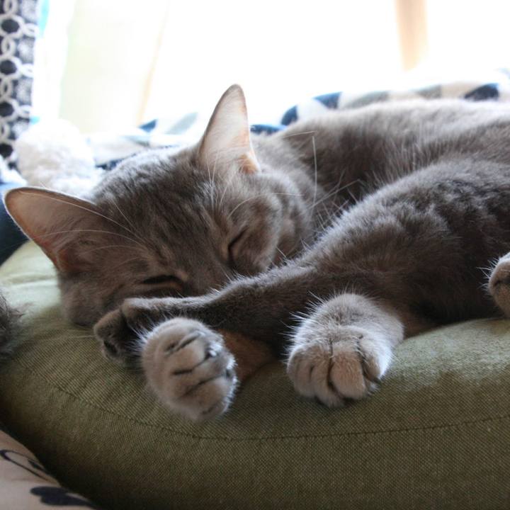 Dfe46734 fbb8 488c 9fea 99da1384ecaf 1541333766981