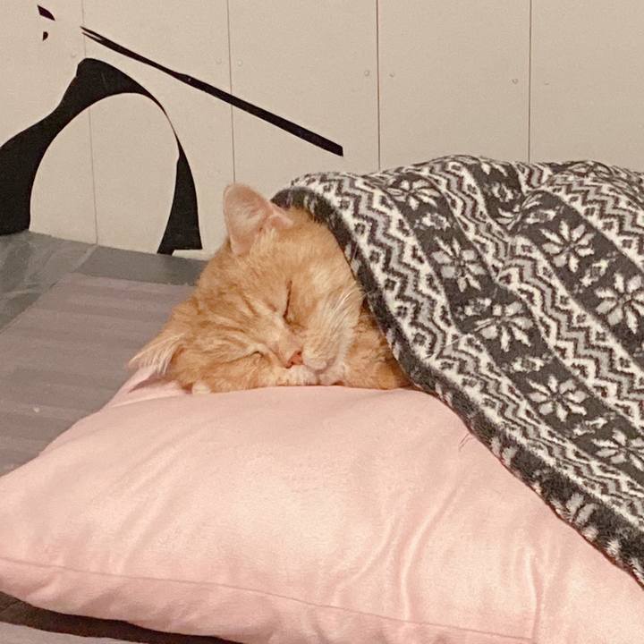 Dfe47d13 47f8 4aab ab09 1fe6441a8aeb 1681940906996