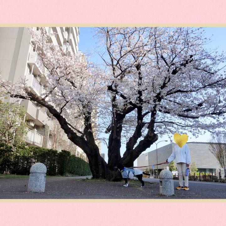 Dfe4b21c 680c 49e5 a604 959f2e369cb0 1743817591910