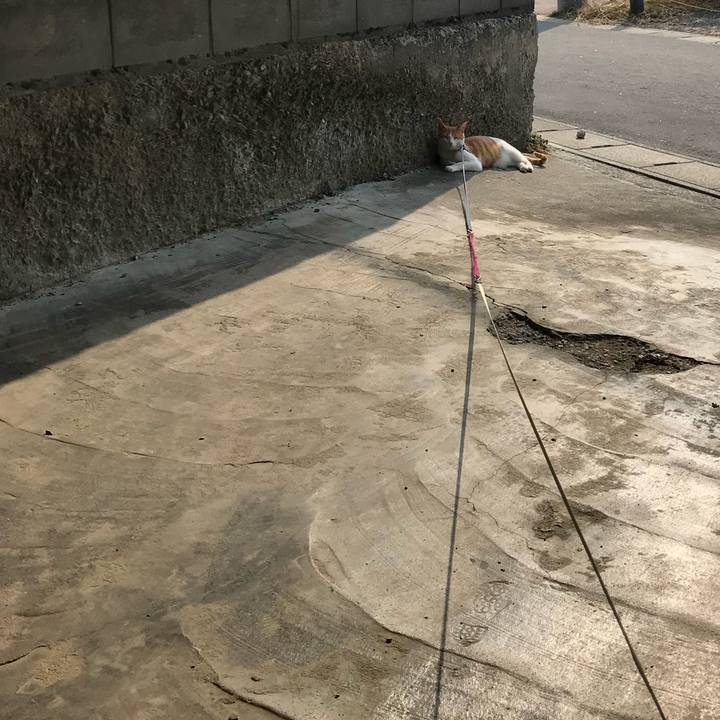 Dfe4b4de 9b31 4c36 b4ca 5617d90682fa 1521006826965