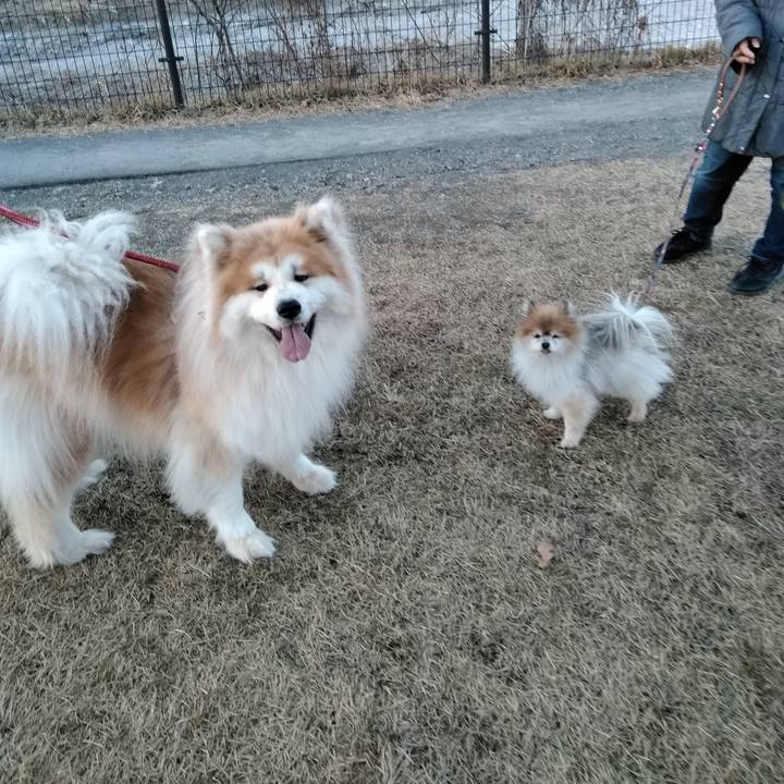 Dfe4bb45 2770 4bb9 8a6d cfcd16729175 1515945751803