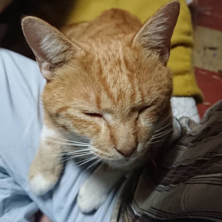 Dfe4f36c a748 4166 afdd 38aaca8281d7 1570310816949