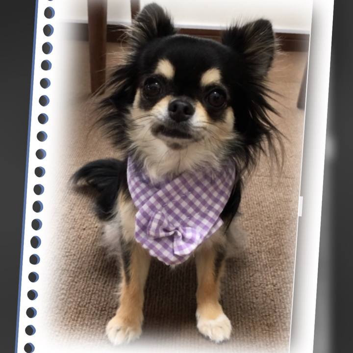 Dfe5472b 0719 449b 9ce2 06146044c39c 1598677749779