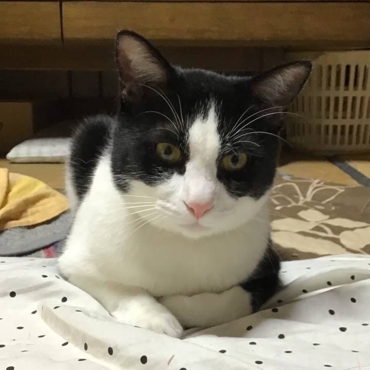 Dfe5906b cc13 49d6 9c00 9786a87cb2df 1652434612016