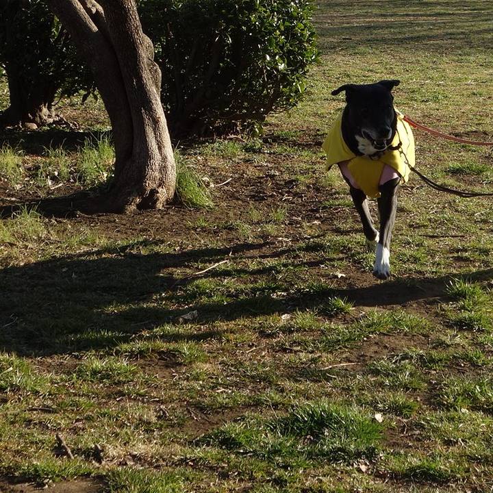 Dfe59764 cccd 430c 9bbd 4caa4a5a4167 1740529191832