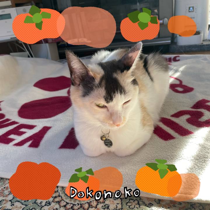 Dfe5c7b3 9b13 4c71 bfa4 a454fc44fa93 1761198787143