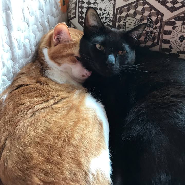 Dfe64bfa c26d 44a7 96c8 868e2500f25d 1595485312310