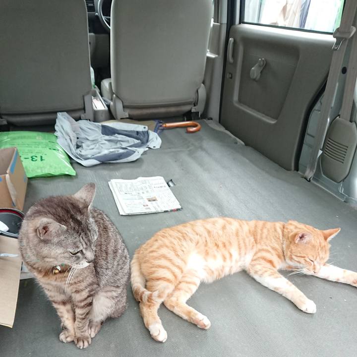 Dfe667be 3c4e 4e91 9b52 5701b6788f8e 1563268902737