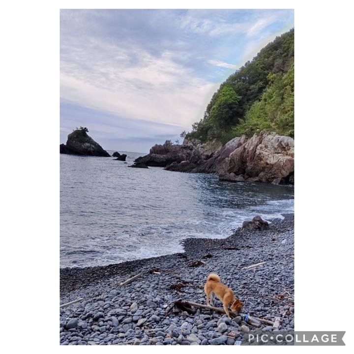 Dfe67579 b391 4a7b b9ba c022bbf5a243 1715753510940