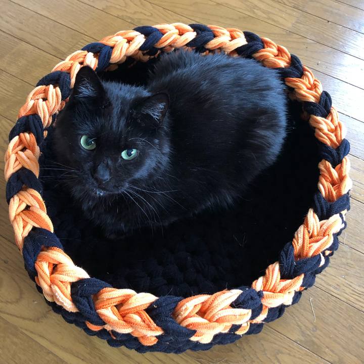 Dfe67c74 8d08 48e9 8d5c d330894bb55c 1639189322753