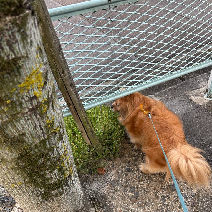 Dfe68b57 5bfc 4900 9f5e cc1f63a4be87 1752095326293