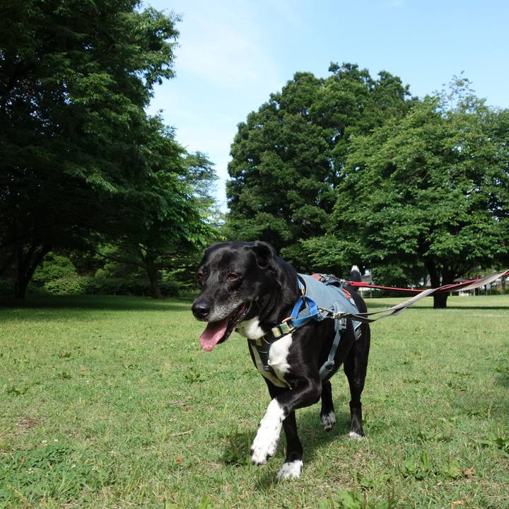 Dfe68d3e abbb 4121 928f 98500c38c026 1717375869069