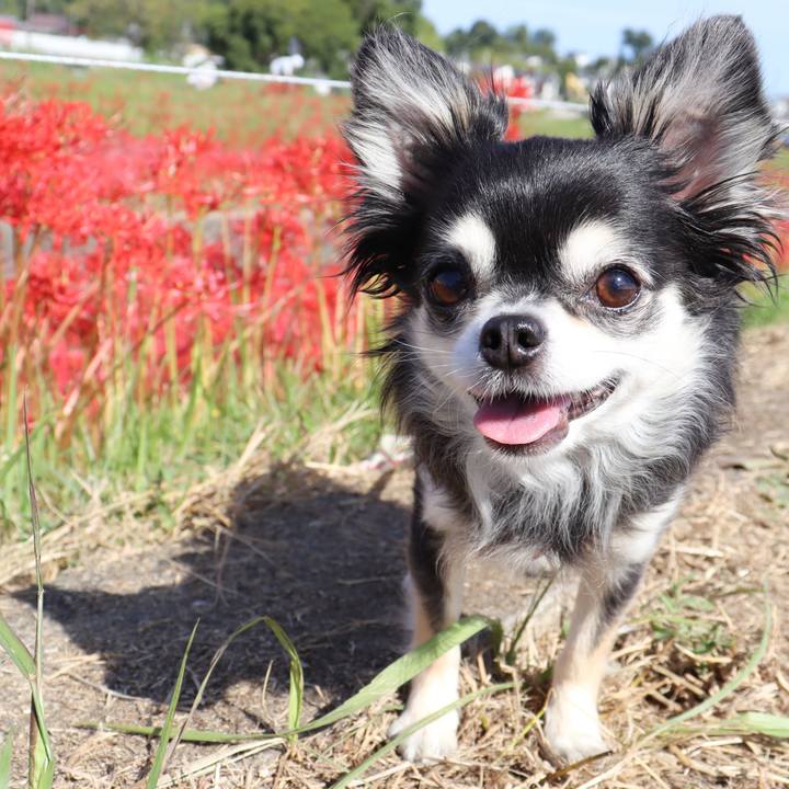 Dfe6983e 8c03 4a38 8e66 7843976540dd 1759531803009