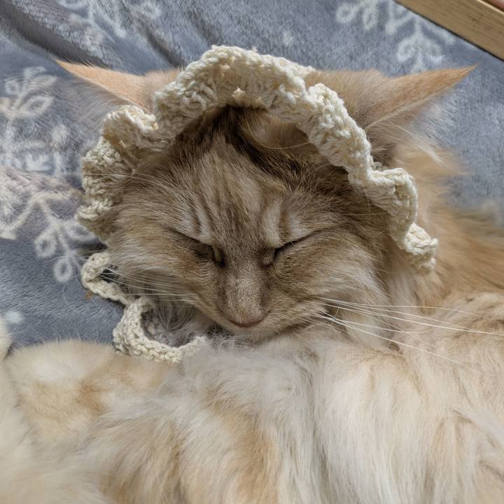 Dfe72472 3afe 4d22 88e5 f5b34b1097d6 1774711396191