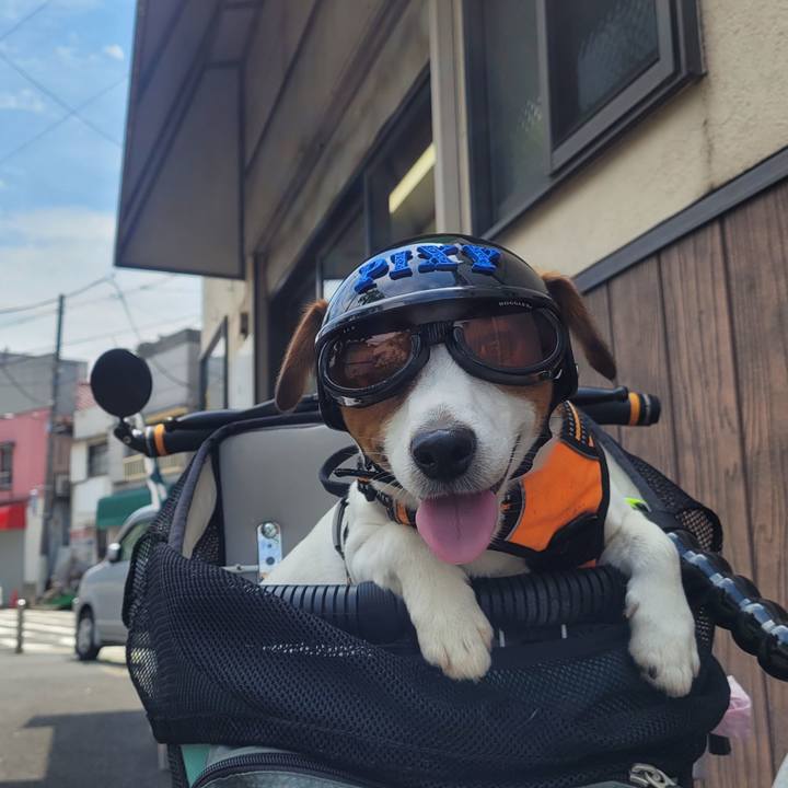 Dfe78adf 96e9 4ee9 9018 8234e200039b 1688379752400