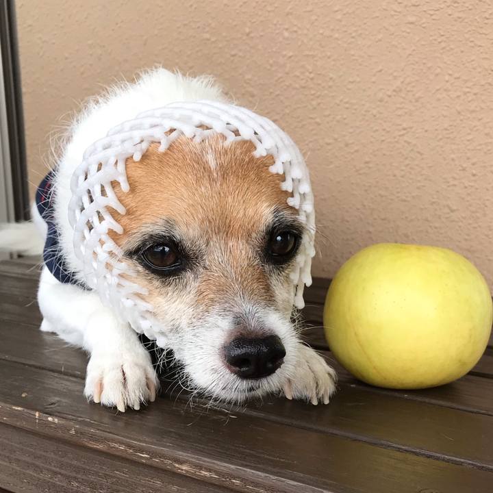 Dfe81375 c42c 486b 8398 cd66a9e271d0 1569711625278