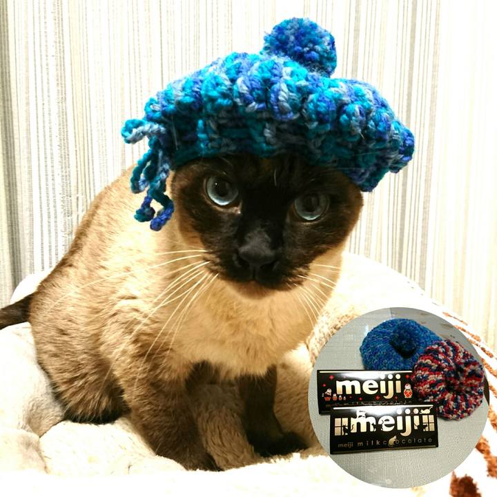 Dfe825f6 f098 4757 b765 927559d1da0d 1547299498282