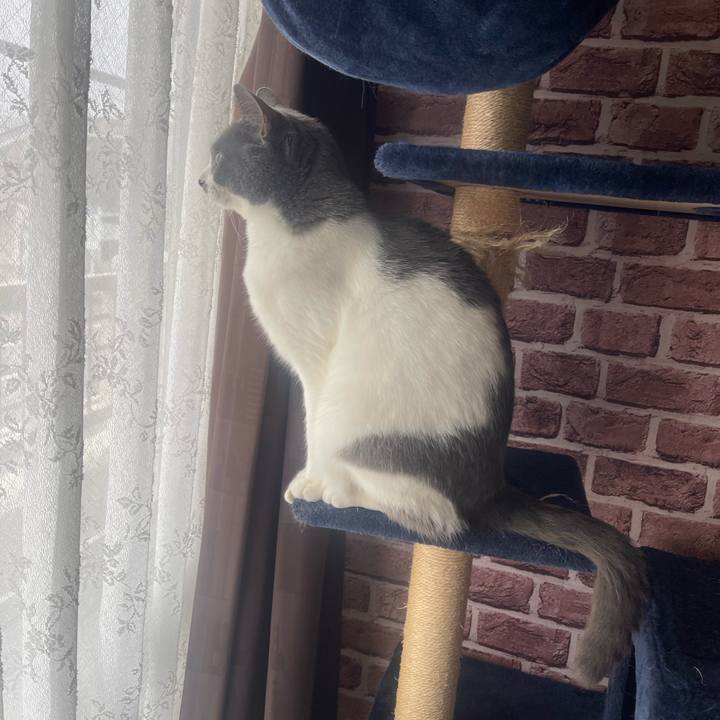 Dfe84a3c 4a34 4149 830a dff87c949587 1676693649010