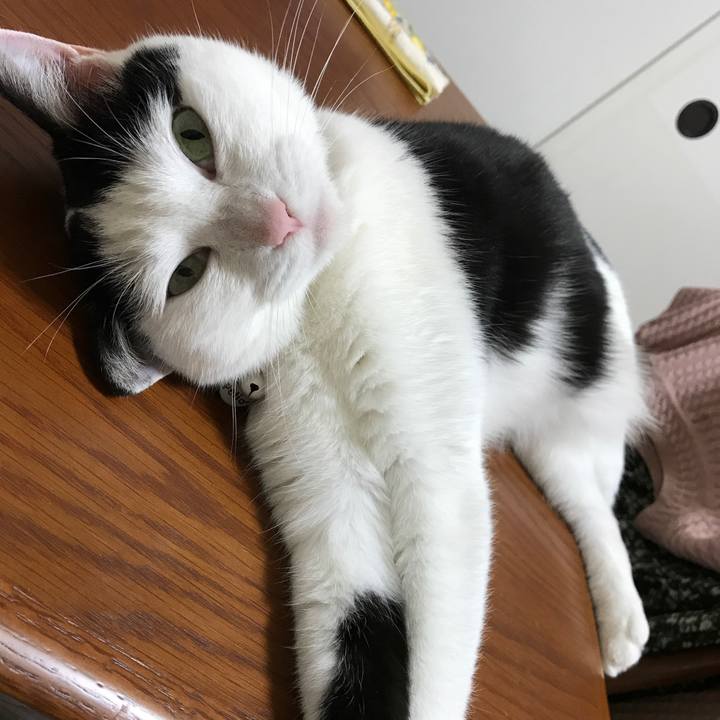 Dfe85381 8383 482d bb5d c3807110f88a 1525955063430