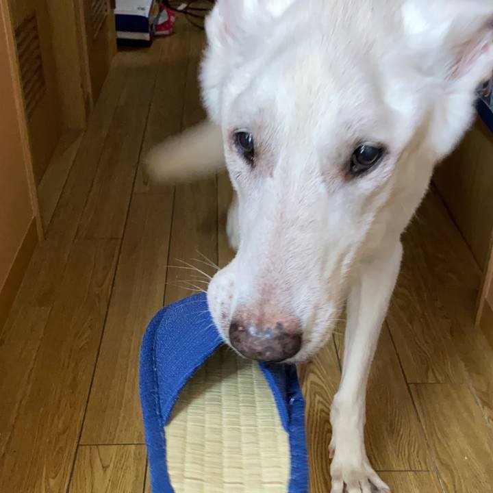 Dfe87fed b093 4e5b 9e50 a670bab4bf85 1607248694834