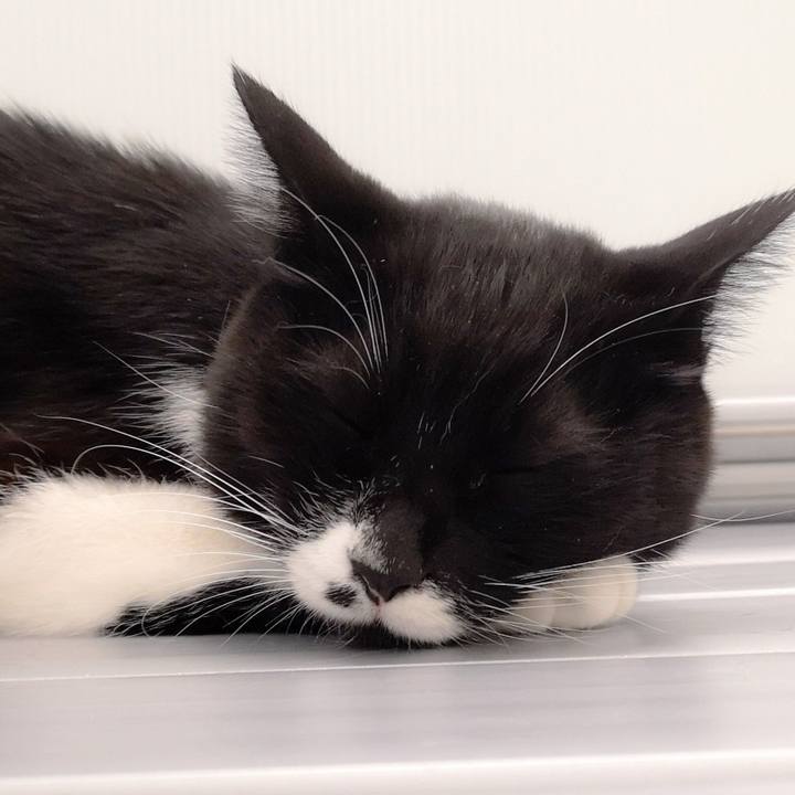 Dfe88e15 fe01 426d 9aa3 0af6164f13bf 1544629576328