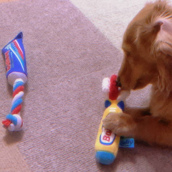 Dfe8aaa4 2fbb 4fc3 9065 5dac78144814 1686329799133