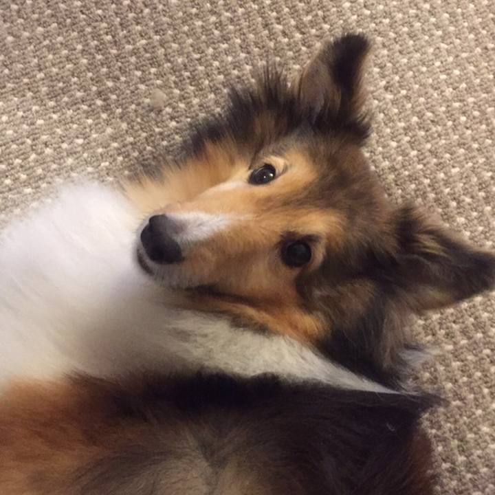 Dfe8d17d 9aa3 47fe af2c ac6466141b51 1558320527258