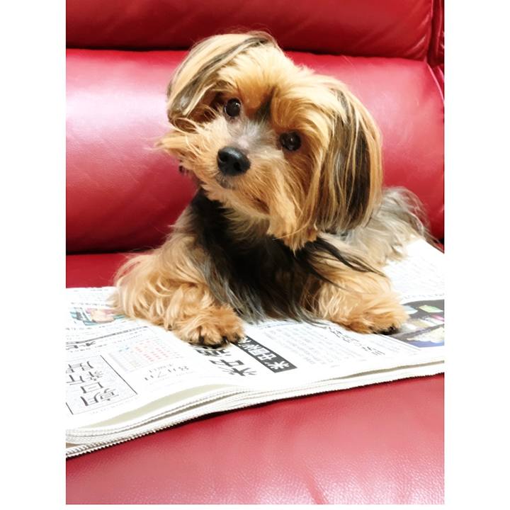 Dfe8ea03 c945 4442 8fda c0702f4cb9c1 1565131135725