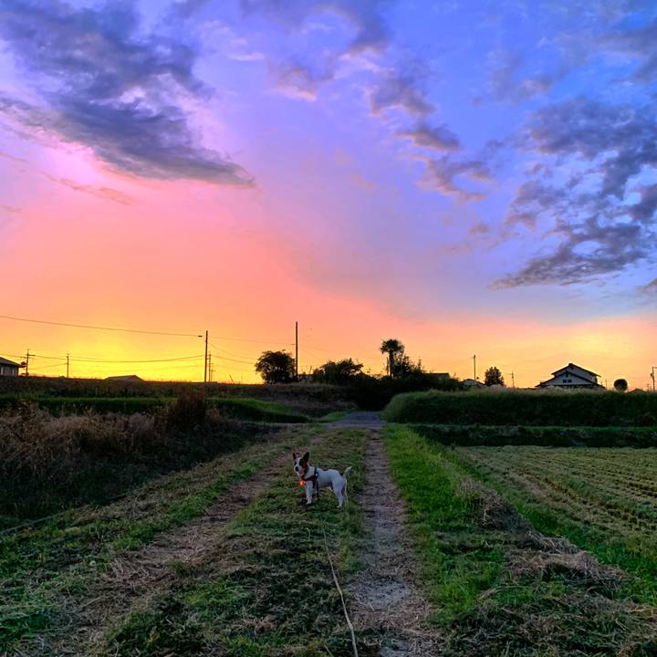 Dfe8ed2c 51fa 4d91 a0d5 5ee3afb99c31 1570620388085