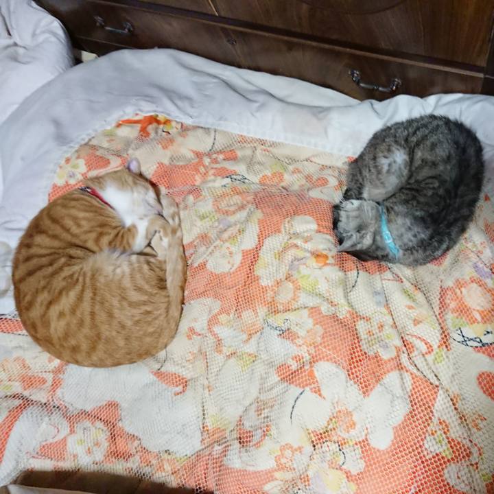 Dfe925f6 30da 4983 a2ea f36e40fc10a2 1569417536264