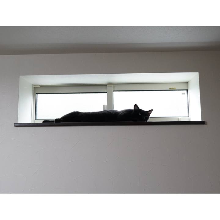 Dfe96551 9f51 4c86 8ccb 73b9440fd61f 1561989174691