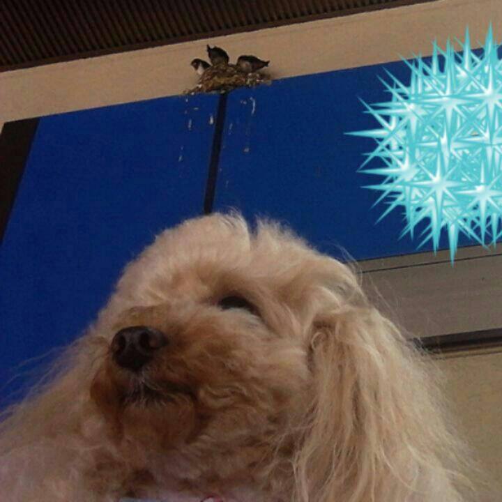 Dfe9a61c 1164 4221 b3c7 829e2f06ec37 1527939333903