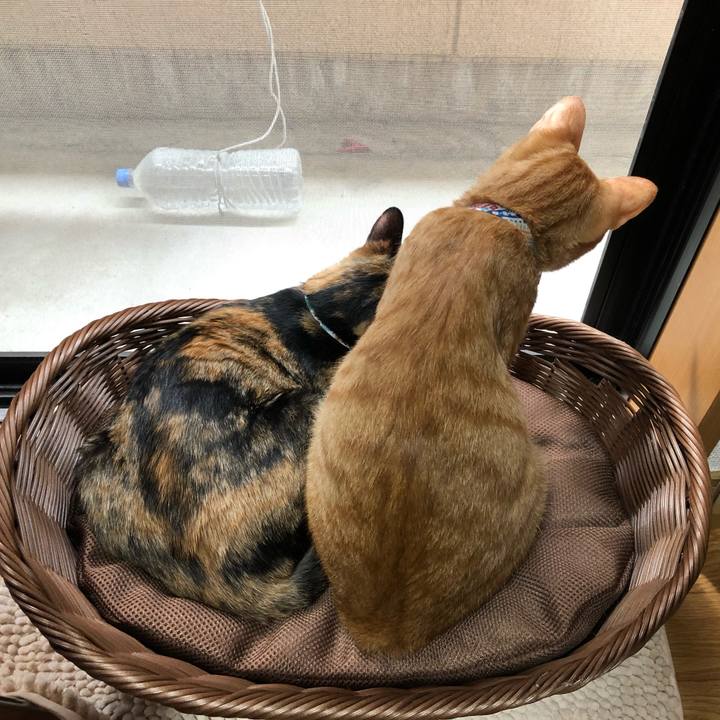 Dfea2f97 68ad 40e5 9899 e330b88cb648 1570449953683