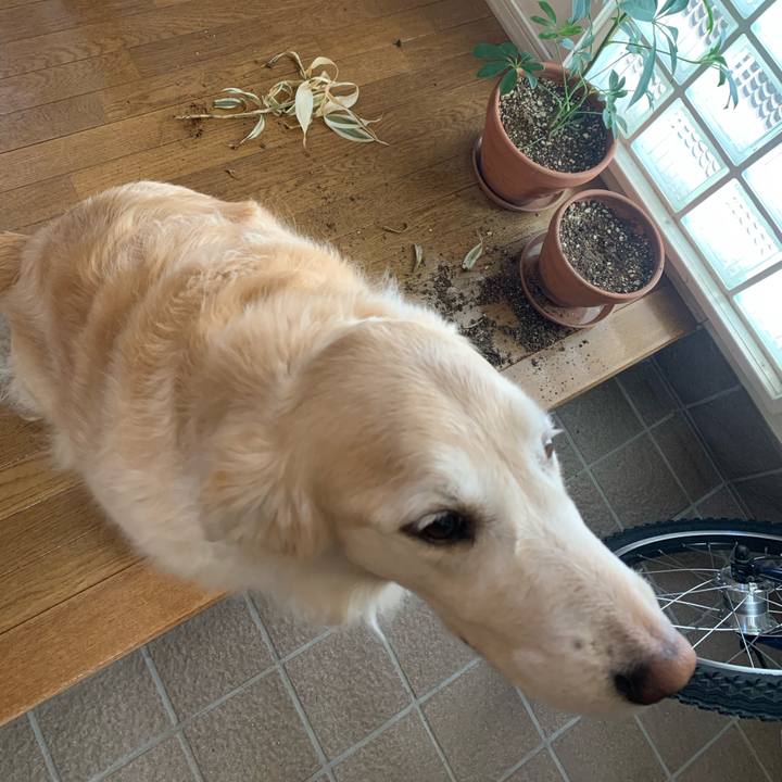 Dfea35e2 a2aa 4bae b6d1 be0aa7dea7cf 1614135737737