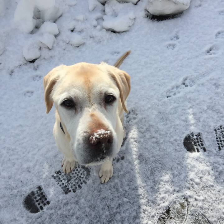 Dfea5a02 50b6 421a 8d29 8fdd35f17116 1517705278782