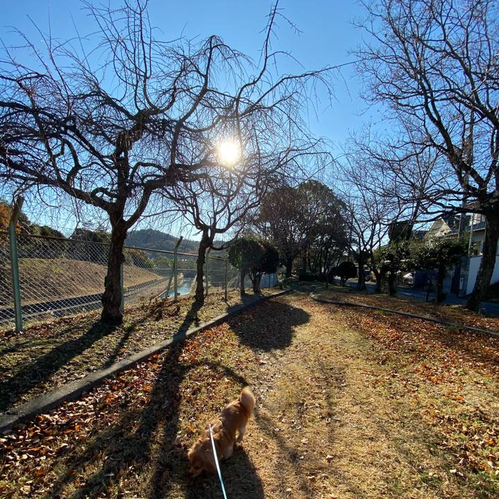 Dfea5c97 d7f2 4be5 a14d 83a484869bdc 1576620391188