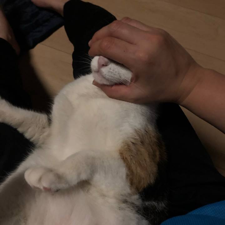 Dfea79b0 7c5f 43a1 9913 bab9862084ec 1597772063163