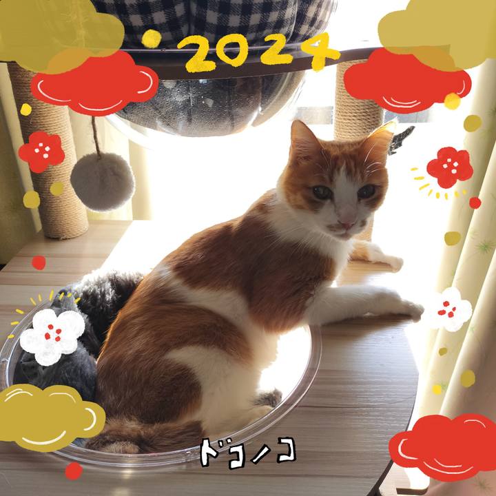 Dfeabe6a 68d0 4a93 b19e 26ac2c4fc3a0 1704167706788