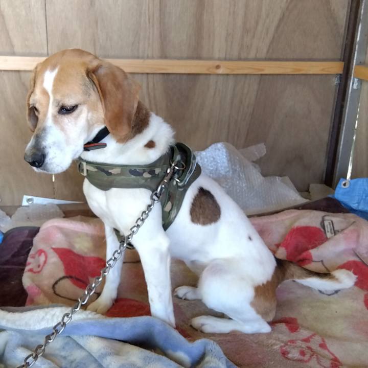 Dfeac72b 6744 4756 b8db 638678867342 1684131428840