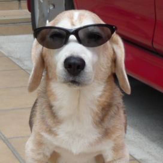 Dfead827 6dd3 45da 8abc cd0a54ea1ce3 1696121288683