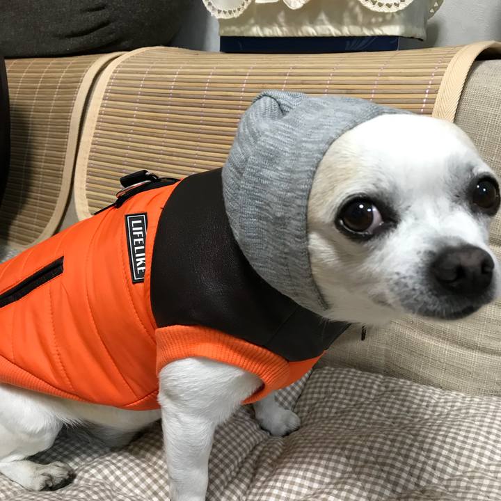 Dfeb36f4 0665 4dc2 90ea 9bfebbc0fbfa 1513922275416