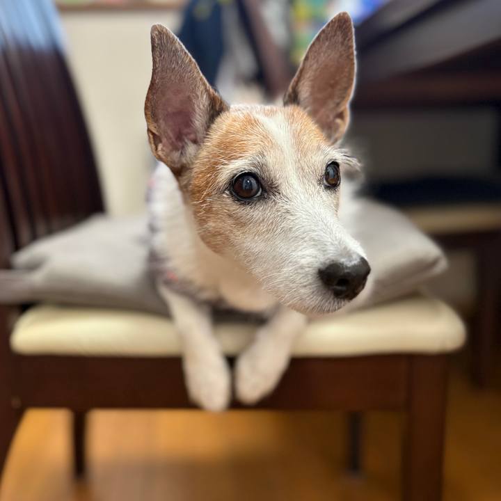 Dfeb5247 4c6b 4408 86bb 4dbb42588071 1762384115214