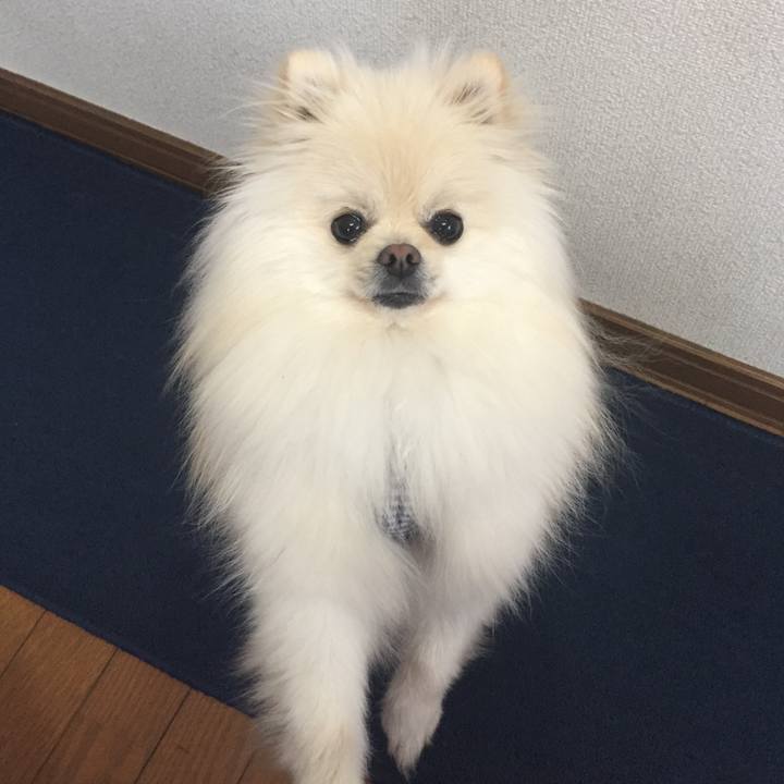 Dfeb9091 fbf0 4e83 a703 fa9f49b6efb2 1517209134487