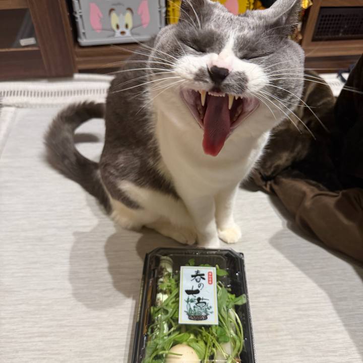 Dfebb44f dc4c 4edb abbd babb2bfbd1ed 1767780540909