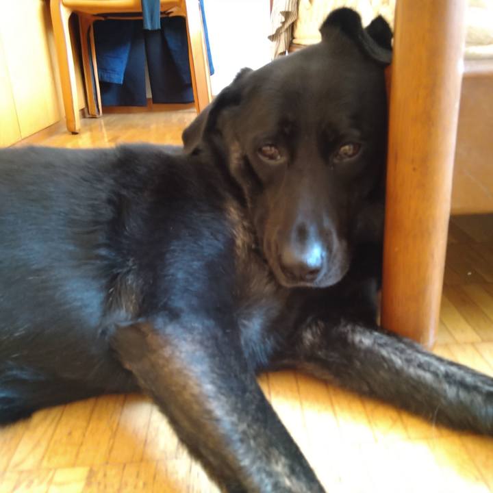 Dfebcd0a f23f 4372 a488 1af5c88271a3 1601594445884