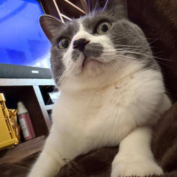 Dfebf0fc 31da 4069 9f9b f0e47ed15d7b 1768864271766