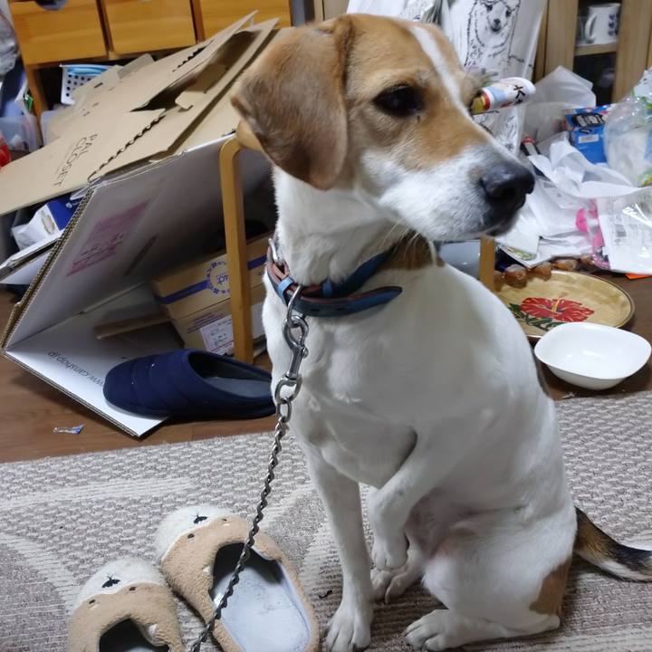 Dfec481d 2d71 4c9b ab33 5d31b395a941 1610288232152