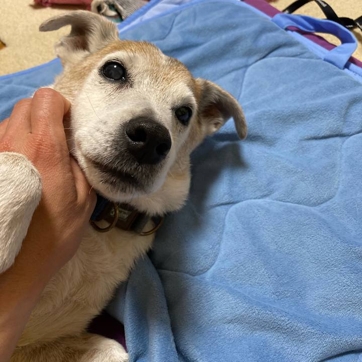 Dfec7227 0ea3 441b 831e b34936b10f67 1655206189797