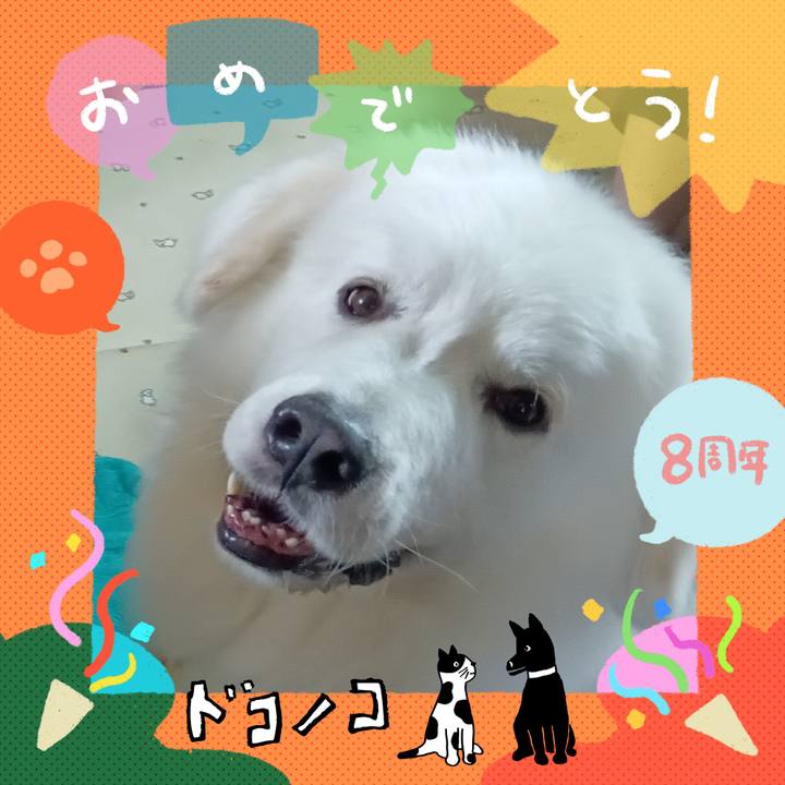 Dfeca2f6 1697 447b 8914 d435c4e3b775 1717799518100