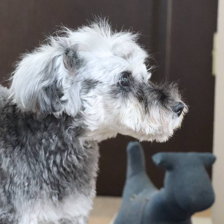 Dfecce6b 2711 4de6 b4df 278c0812b9a1 1769063759865